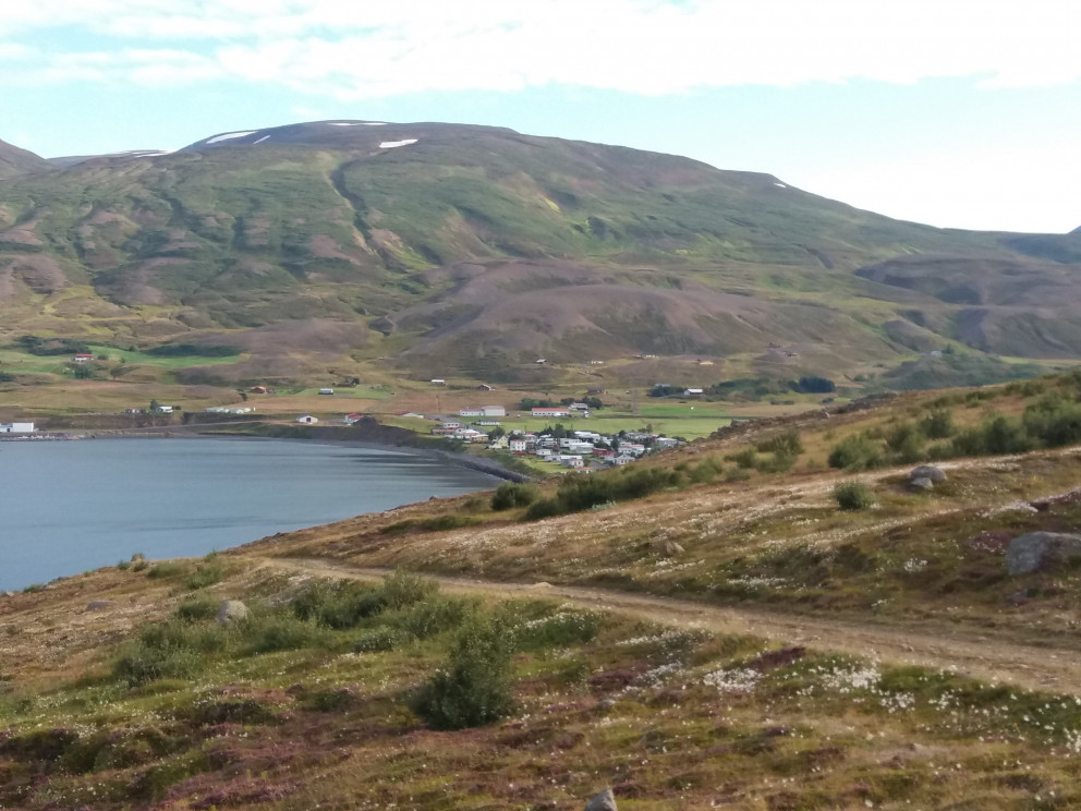 Horft yfir Grenivík af Skælu
