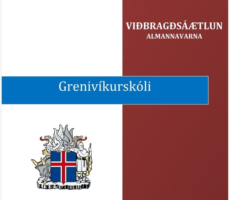 Viðbrögð við flensufaraldri